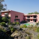 루이스(Luis) 이미지