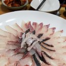 영빈회센타