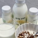 영동목장 | 돌아기첫우유 추천 산양우유 산양유요거트 유산양 해맑은목장