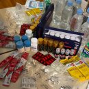 뉴욕동물병원 | 🇺🇸여자 혼자 뉴욕 3주 여행 #3: 미국 공중화장실의 비밀(자연사 박물관, 박물관이 살아있다, 브로드노쉬...