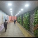 제주서중학교 이미지