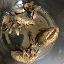 다린어린이집 이미지