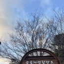 대전둘레산길(3구간) | #만인산자연휴양림 분수연못 #무장애나눔길 #국가숲길 대전둘레산길 #실시간