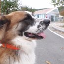 대박1농장 이미지