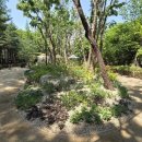 길마중