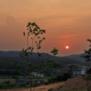 대공원대로, 대공원광장대로 이미지