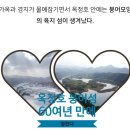 수채화를그리다