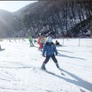 주식회사 케어포인트 | 어린이 스키 보드 강습 하이원 프리미엄 풀케어 할인 구매 방법 솔직 후기!