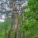 장곡주차장(장승공원) 이미지