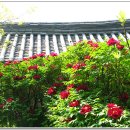 시인의 뜰 이미지