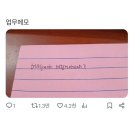 (주)제주설심당 | 8월 END 많이 놀고 많이 먹고 많이 일하고