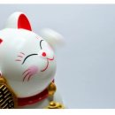 100 현지 영상으로 배우는 기초 패턴 일본어 (2) | 일본어 쉽게 배우는 법 기초부터 쉽게 일본어 공부 하는법