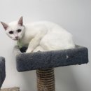 가야동물병원 이미지