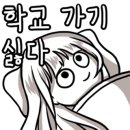 타로에 길을 묻다 이미지