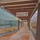 어린이 뮤지컬 구둣방할아버지와 요정 이미지