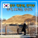 서라벌문화회관 | 경주 천마총 대릉원 주차 포토존 경주 역사 여행 사진찍기 좋은곳