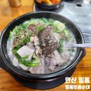 안산 상록수 현지인이 찾는 찐 로컬맛집 일동토종순대