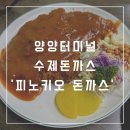 양양터미널 맛집 ‘피노키오’ 수제 경양식 돈까스 전문점