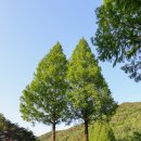 꼴배별장펜션 | 논산 온빛자연휴양림 드라마 예약 대전 근교 드라이브 추천