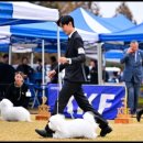 유어라운지 이미지