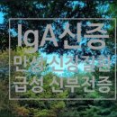 신증행정사 이미지