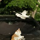 서진농원 | 죽지 않고 또 왔습니다