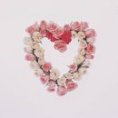 장미인테리어 이미지