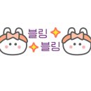 씨투안 이미지