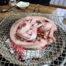 강원곰장어 이미지