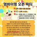 해동세차장 | 시설 / 반려견놀이터 / 야외놀이터/ 애견호텔/ 반려동물 해동교정 / 강아지호텔 / KKC KKF 공인훈련사