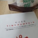 티니펌킨 웰빙간식 단호박식혜 호박차효능 후기