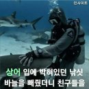 낚시바늘이 입에 박혔던... 이미지