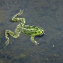 미담케어 이미지