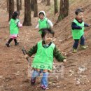 숲유치원 이미지