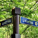 김주신선생묘 이미지