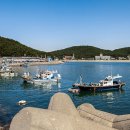 천리포항 이미지