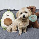 포유동물병원 이미지