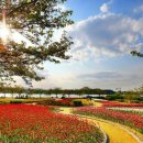 경포현대아파트 이미지