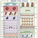 재식농장 이미지