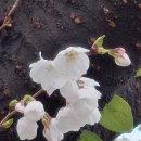 기원커피방 이미지