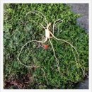 대종농장 이미지