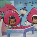 세민농장 이미지