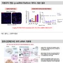 올릭스 (콥데이 후기 - 넥스트 스텝, 넥스트 레벨)