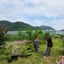 신복농장 이미지