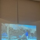 이라자 | 제주 조수리플로어 | 통창 뷰에 새소리까지 들리는 시골감성 숙소 솔직 후기