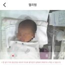 퀸스산후조리원 | 천안 퀸스산후조리원 로즈마리홀 특실 2주 이용후기