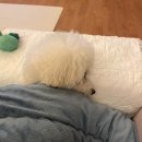 민성사우나 이미지