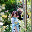 일랑이다 이미지