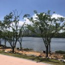 유가네닭갈비 영천점 이미지