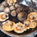 춘향이네 이미지